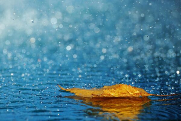 春雨秋雨的降临