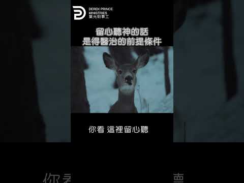 留心聽神的話是得醫治的前提條件